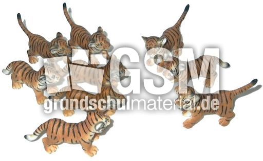 Tiger6+3.jpg